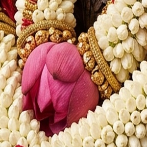 Garland view 3